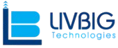 Livbig Technologies Pvt Ltd